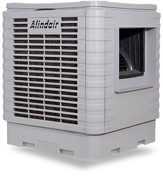 Alindair Plus 10