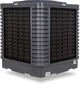Alindair Plus 20
