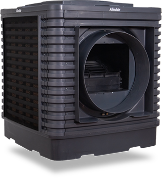Alindair Plus 25
