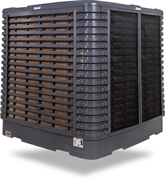 Alindair Plus 30