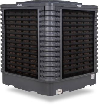 Alindair Plus 10